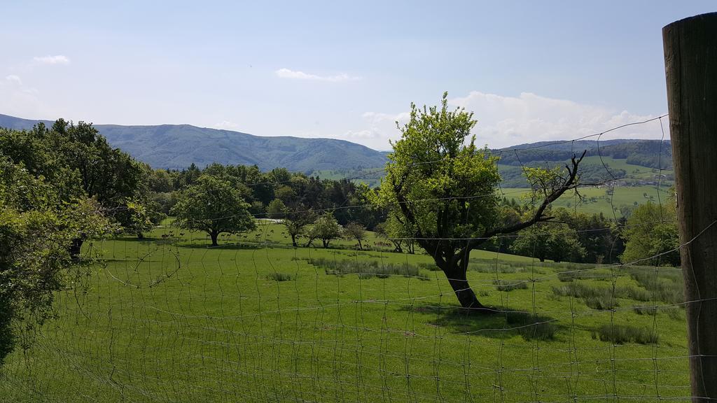 Smart Liv'In Laabnerhof Daire Laaben Dış mekan fotoğraf